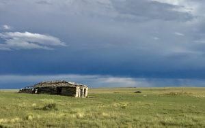 Photo by L. Scott Mann